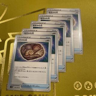 なぞの化石 C 090/098