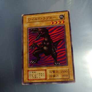 ワイルド・ラプター　初期　ノーマル　☆