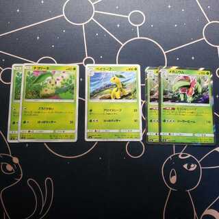 メガニウム 進化ライン