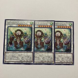 Circle of Fairy Rare JP042