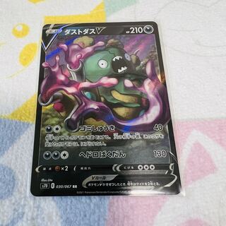 GarbodorV RR 030/067