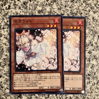 Ash Blossom & Joyous Spring Normal JP019