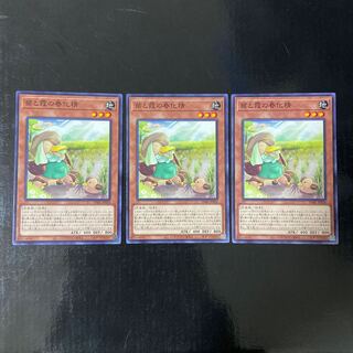 苗と霞の春化精 ノーマル JP026 3枚セット