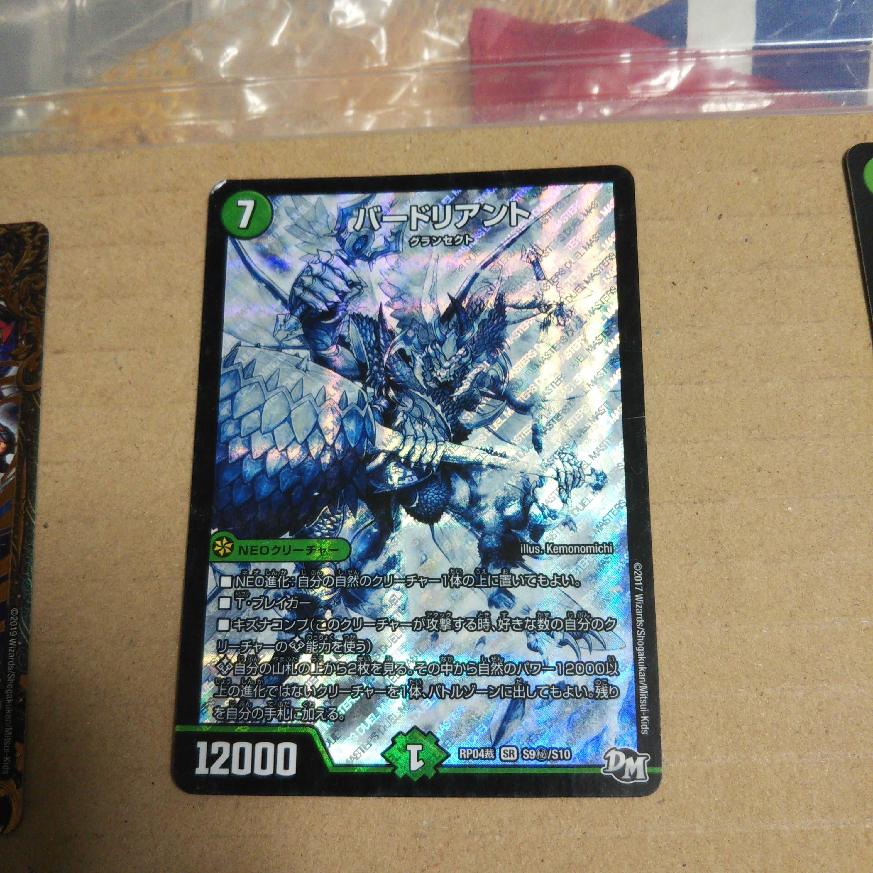 バードリアント SE S9(秘)/S10