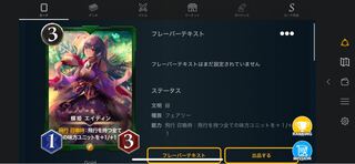 蝶姫 エイディン/スピ有