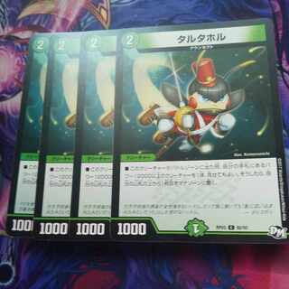 タルタホル C  1枚