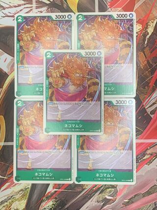 One Piece Card Cat Pussycat