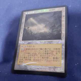 廃墟の地 ボーナス 407/289