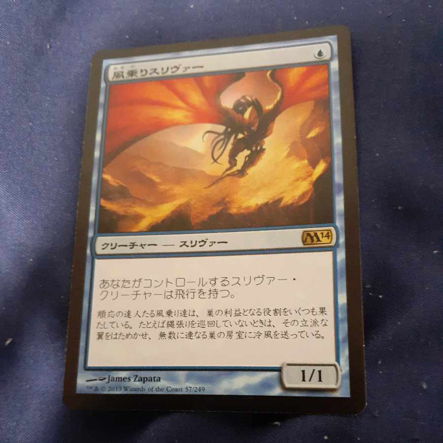 Galerider Sliver Rare 57/249