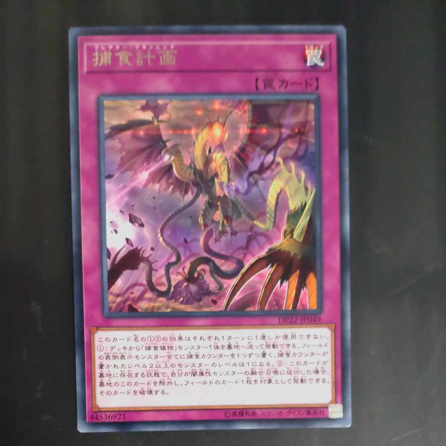 Predaplanning rare JP049 [Mokurindo