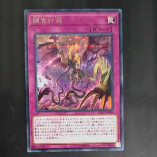 Predaplanning rare JP049 [Mokurindo