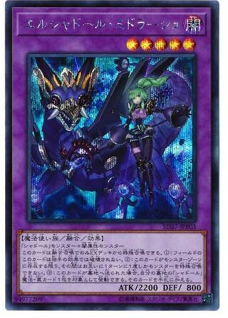 Midrash Secret Wanted