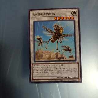 Desert Locusts Normal JP063 ☆