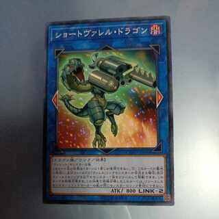 Miniborrel Dragon Normal JP040 ☆