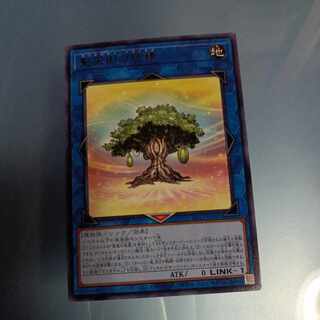 Fairy of the Holy Celestial Tree Rare JP031 ☆