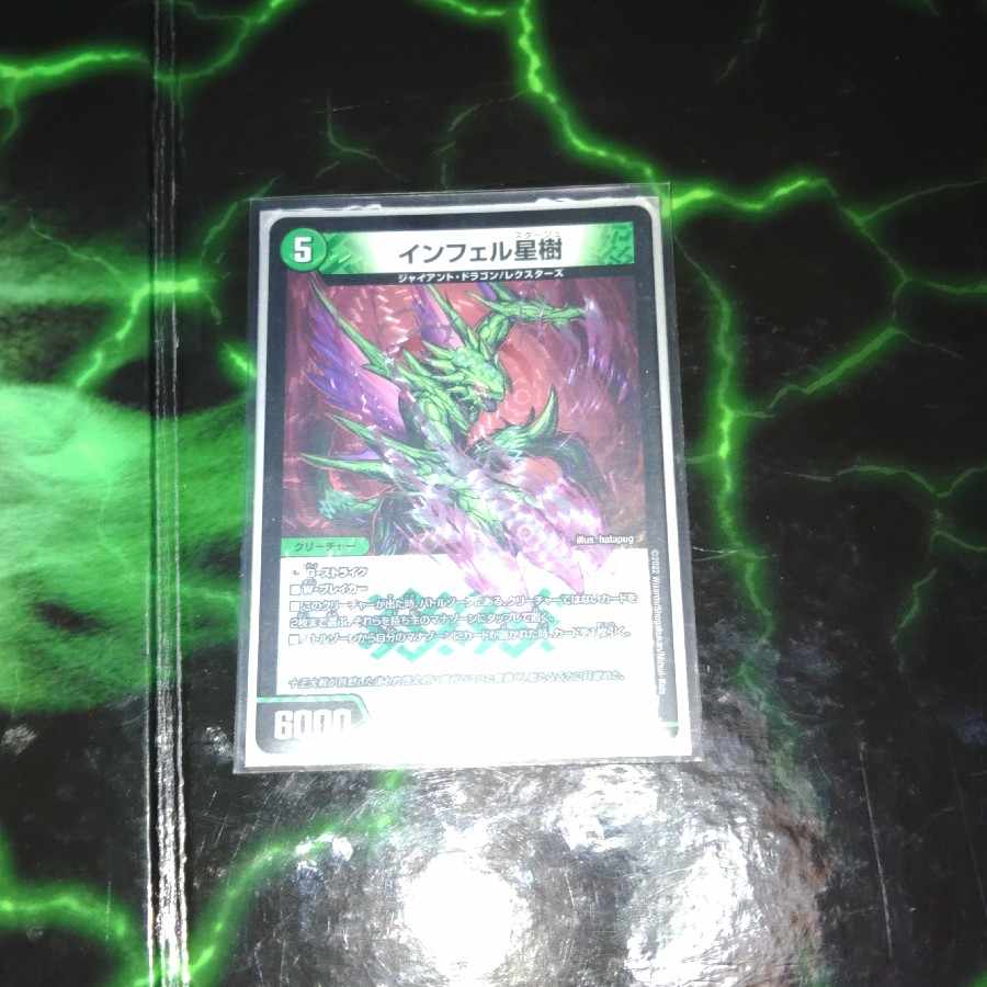 Infelix star tree (species of sedge, Infelix infelix)