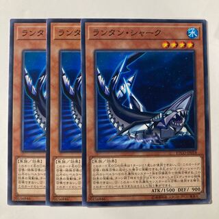 7279 Lantern Shark $705