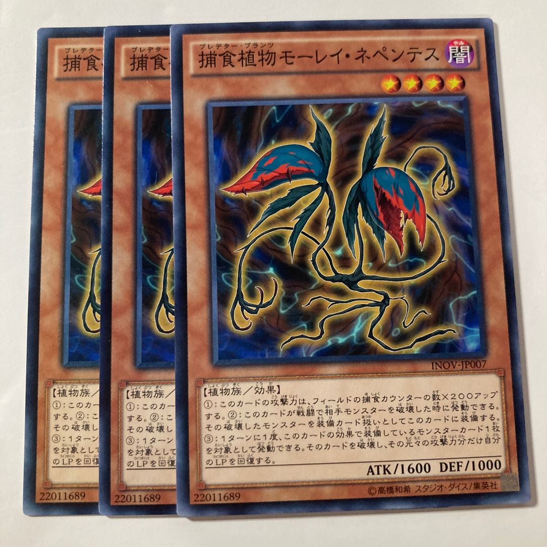 7290 Predaplant Moray Nepenthes Normal JP007