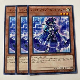 Backup Secretary $719