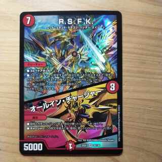 R.S.F.K.｜All-in Charger VR 30/130