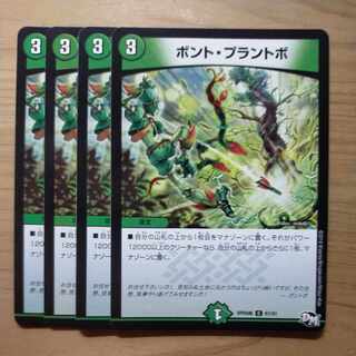 Bont Plantivo C 61/61