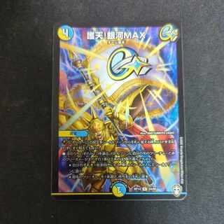 Proten! Ginga MAX R 24/95