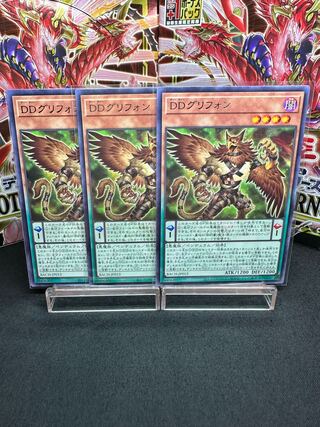 DD Griffon Rare JP013