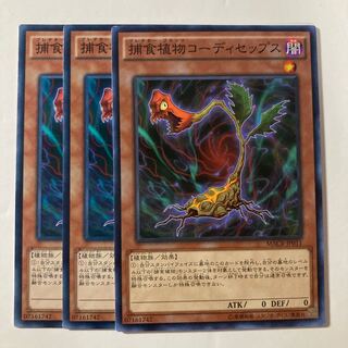 7299 捕食植物コーディセップス ノーマル JP011