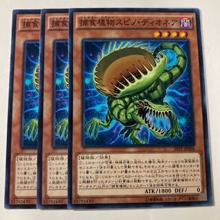 7308 Predaplant Spinodionaea Normal JP004