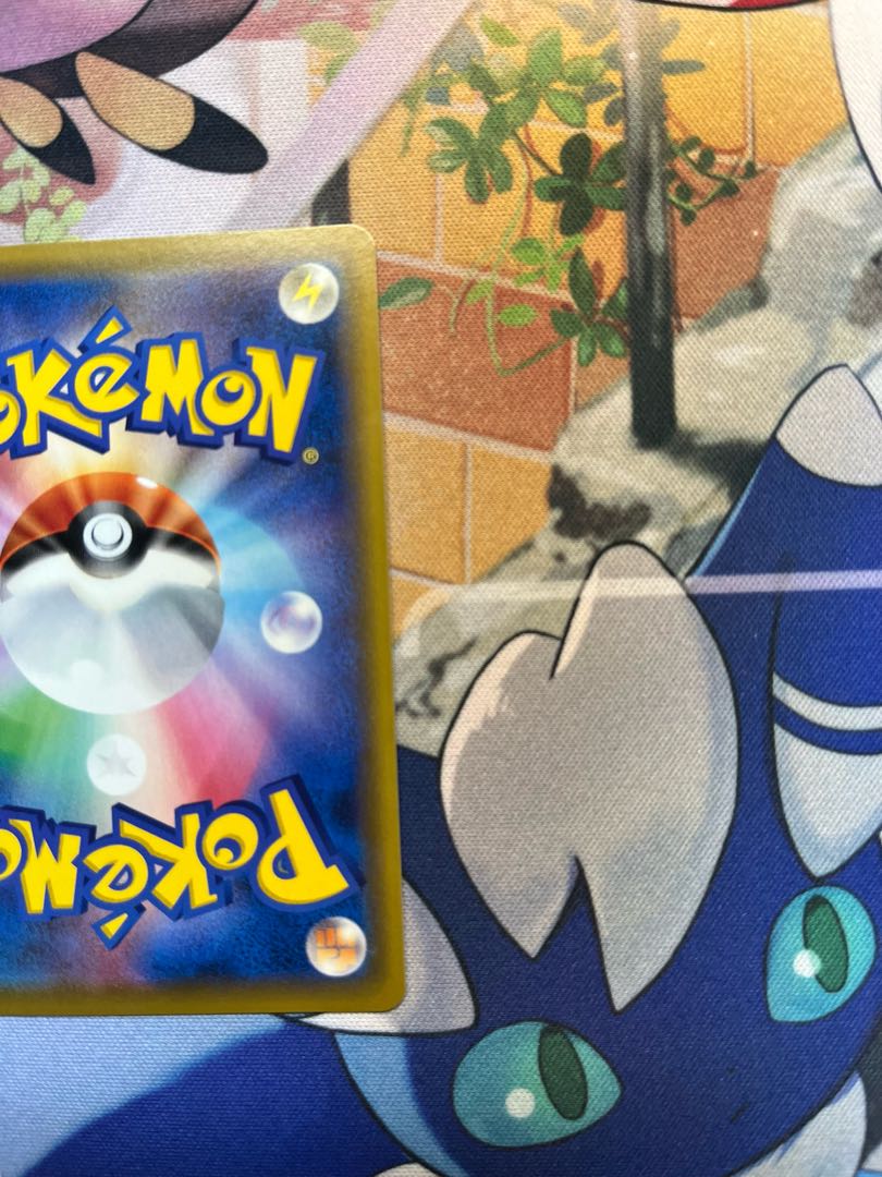 Very beautiful Sightseer SR