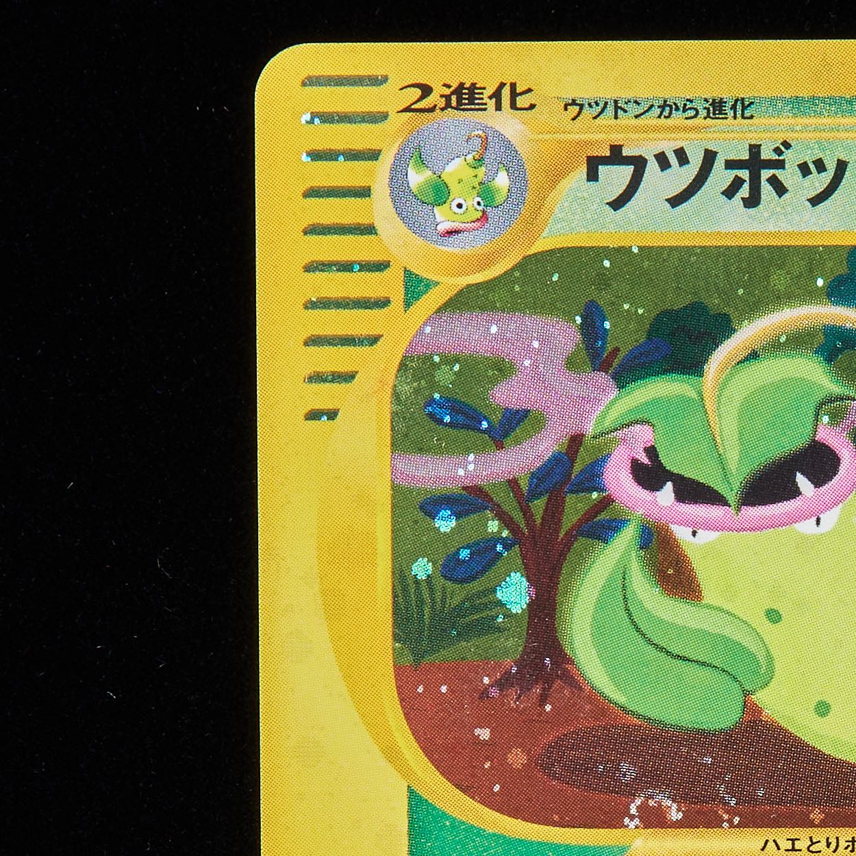 ランクB】ポケモンカードe ウツボット 1st Editionの通販 JOKER/TCG 