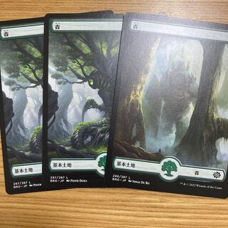 Forest 3 Pics Sibling War Full Art