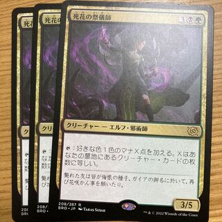 Ritualist of Dead Flowers 3 pieces