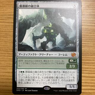 根導線の融合体