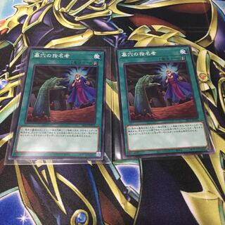 ＊２商品以上購入で割引あり＊　墓穴の指名者 ノーマル JP065 FLOD