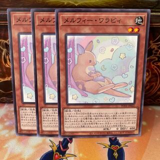 No.1293 P Shop Melfi Wallaby [no