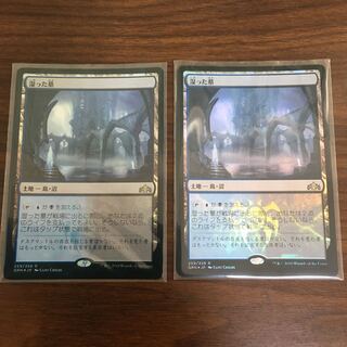 湿った墓 foil」の激安通販 | magi