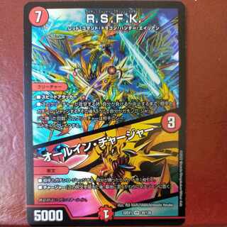 2022 set discount R.S.F.K.｜All-in Charger VR 30/130