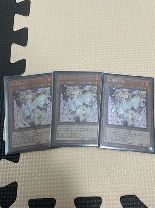 Ash Blossom & Joyous Spring different pictures Collector's Rare