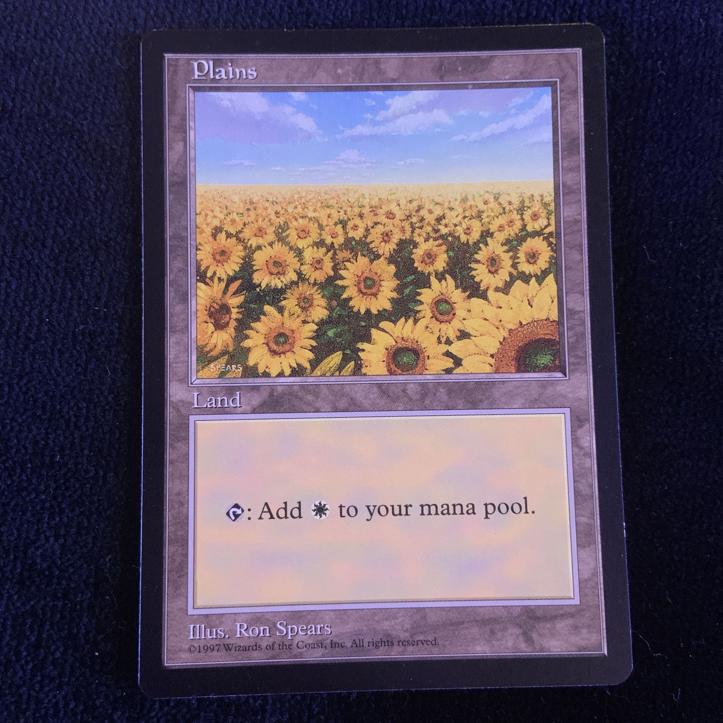 APAC1 《平地/Plains》  Ron Spears ひまわり 向日葵 1枚