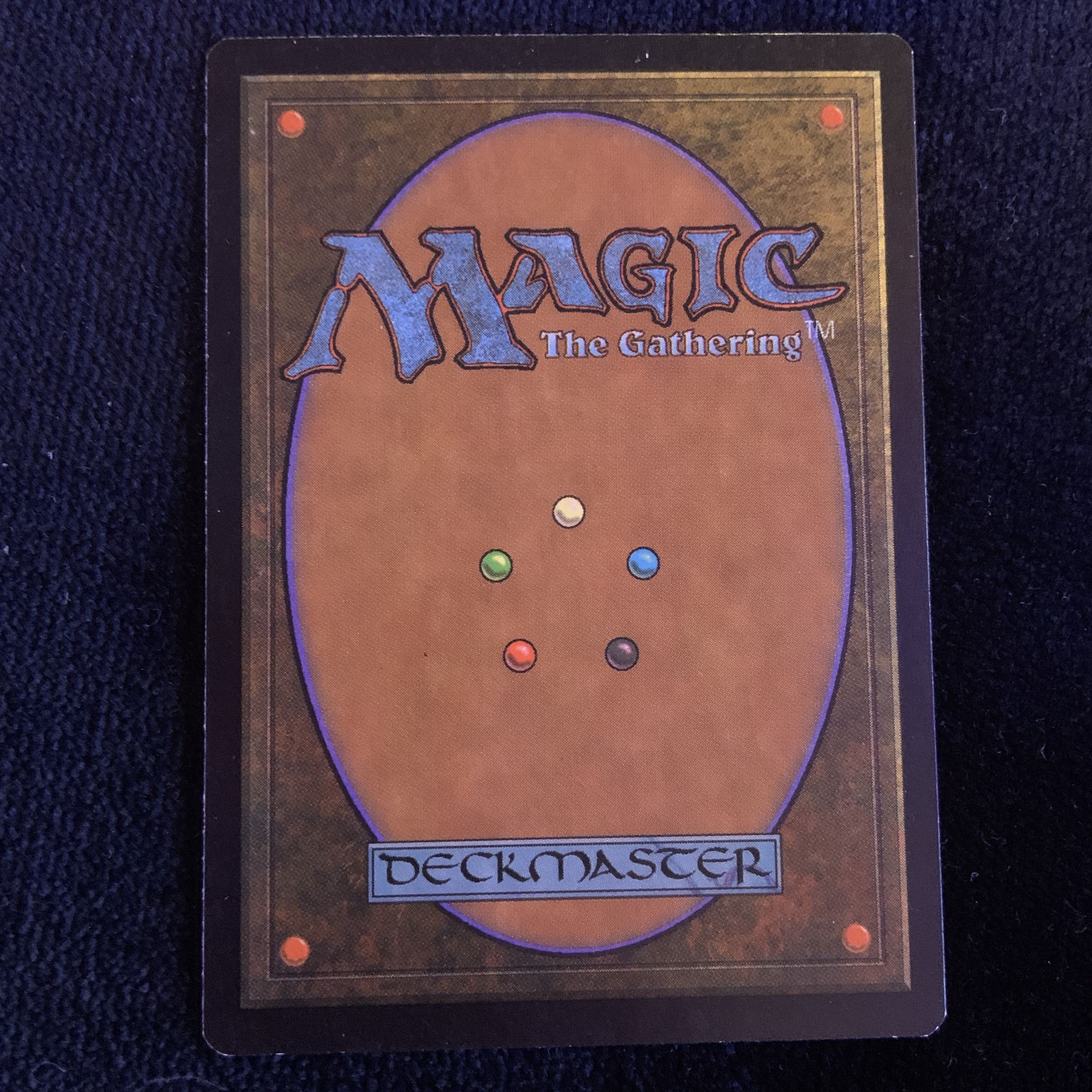 APAC1 《平地/Plains》  Ron Spears ひまわり 向日葵 1枚