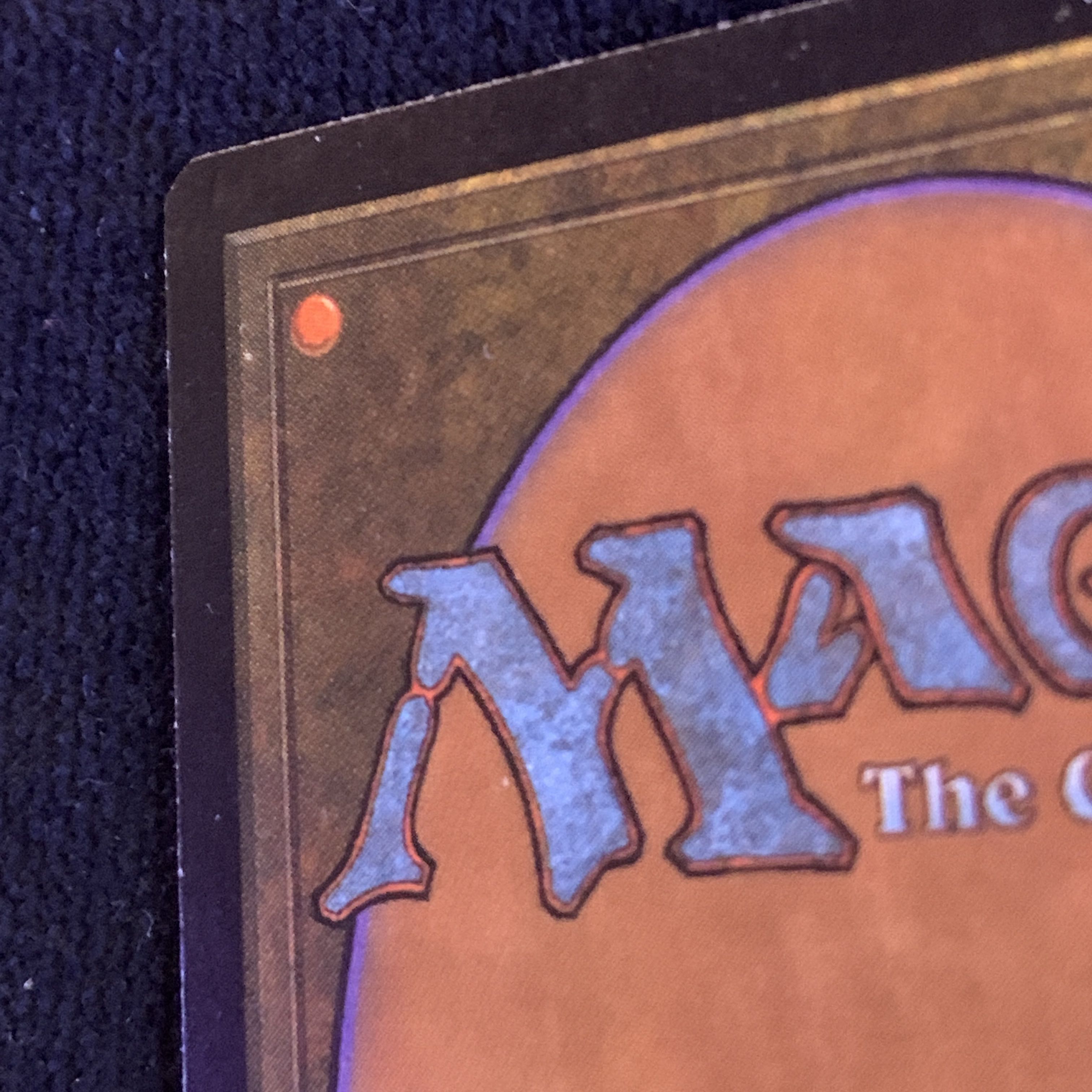 APAC1 《平地/Plains》  Ron Spears ひまわり 向日葵 1枚