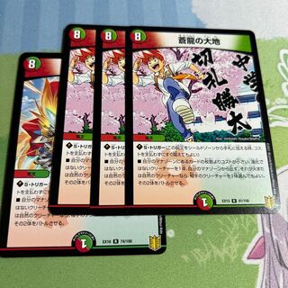 蒼龍の大地 R 81/100