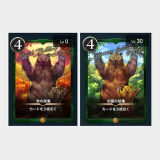 初夏&秋の採集/2枚セット