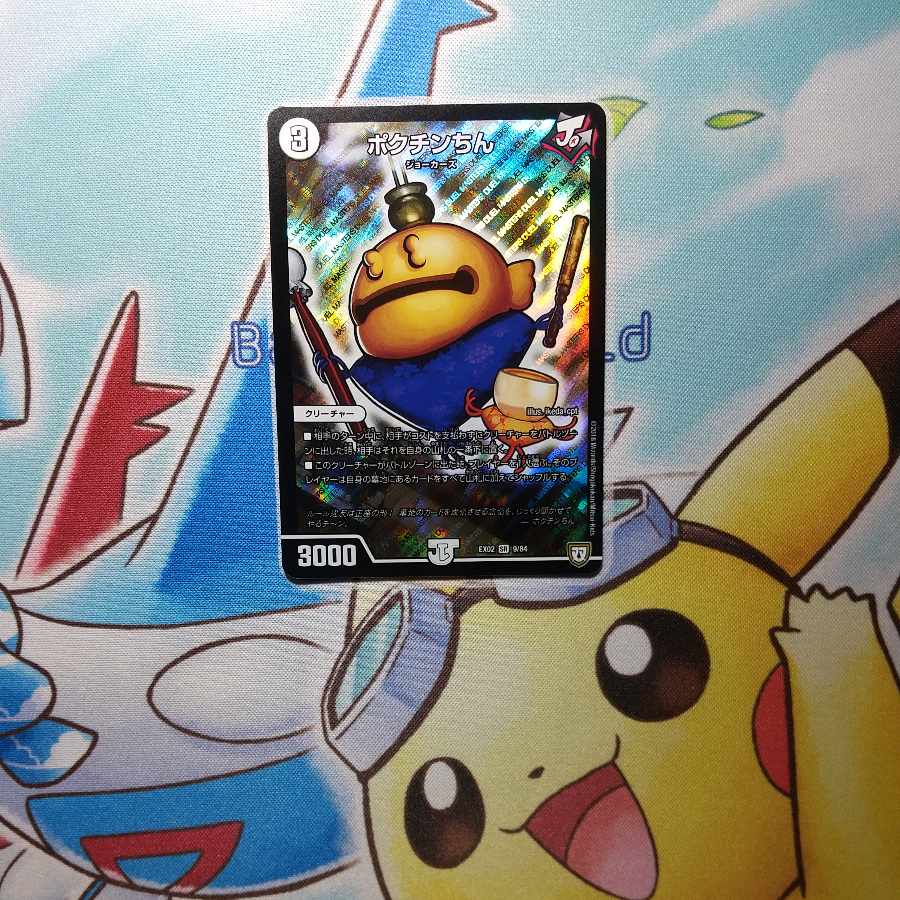 Pokuchin Chin SR 9/84 EX02