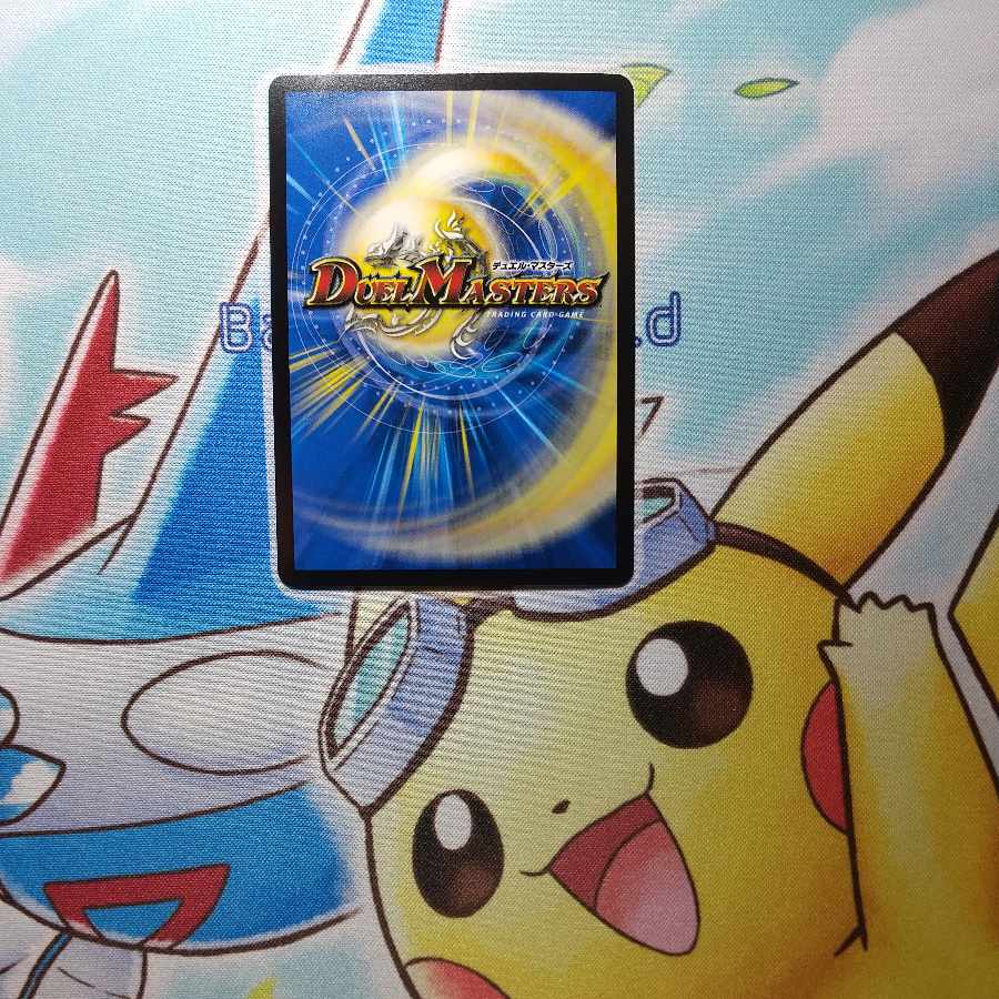 Pokuchin Chin SR 9/84 EX02