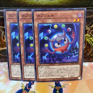 No.1481 P shop Capshell [no