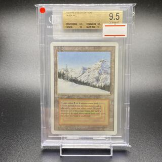 BGS9.5 Taiga 3ED EN