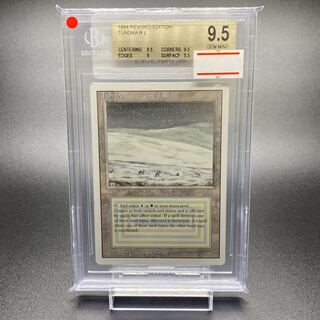 BGS9.5 Tundra 3ED EN