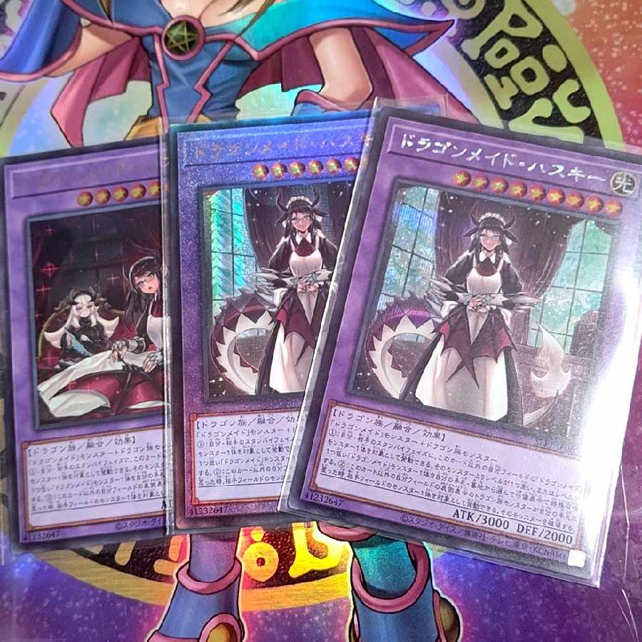 House Dragonmaid 3-piece set